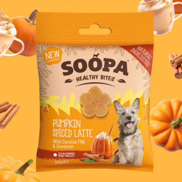 Veganskt hundgodis Pumpkin Spiced Latte från Soopa 